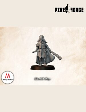 Woodelf Mage | Dwarves of the Saphire Ridges | Medbury | Fantasy